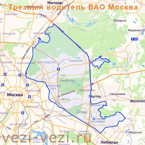 ВАО Москвы: частые адреса вызова «трезвых водителей»